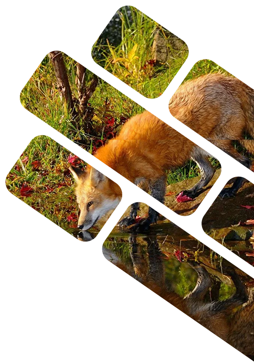 Уставные документы