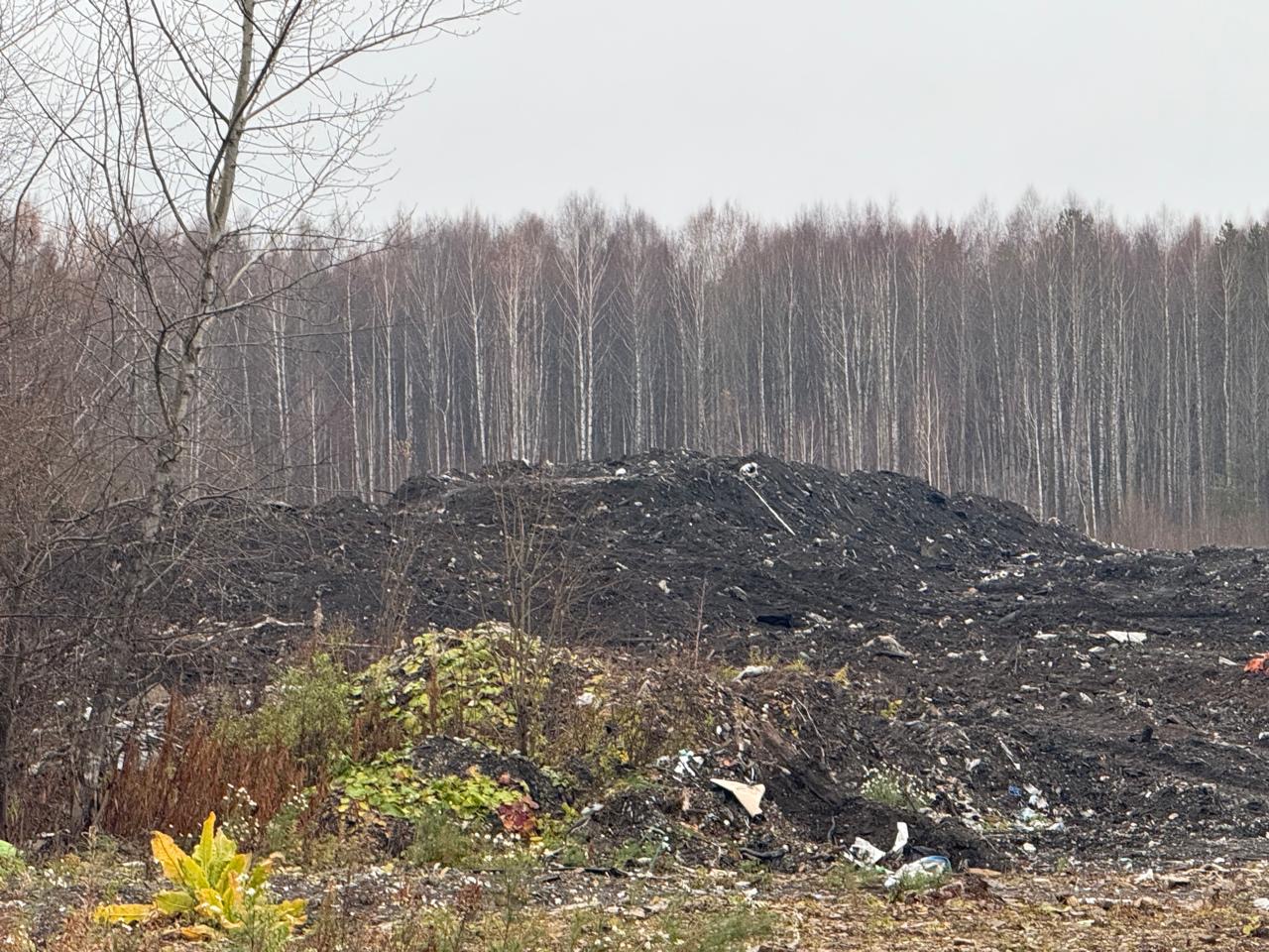 В Пермском крае продолжается ликвидация масштабных нелегальных свалок