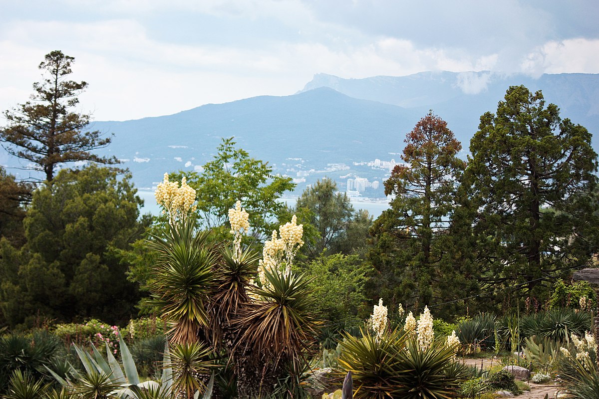 В России создан единый реестр дендропарков, ботанических садов и памятников природы