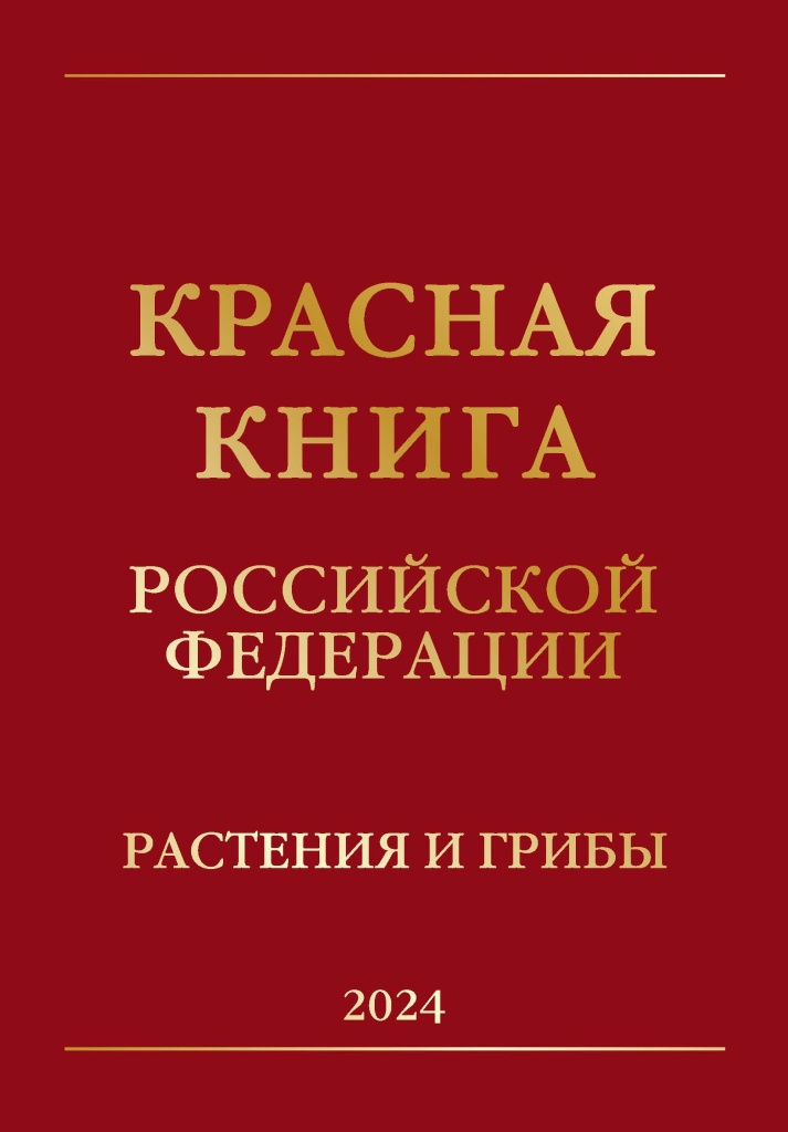 KK_RF_2024_flora_Ros.jpg